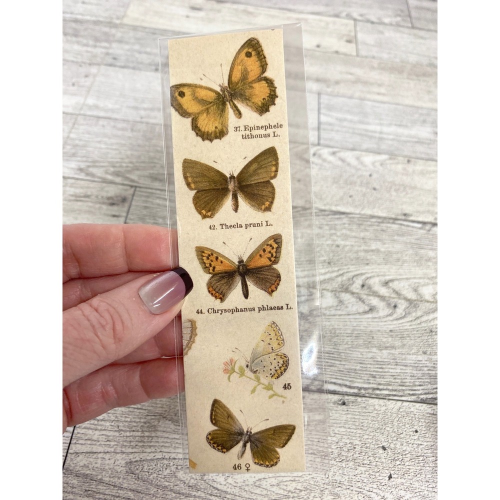 Bookmark Butterfly Scientific Image Cottagecore Botanical Academic Lepidoptera